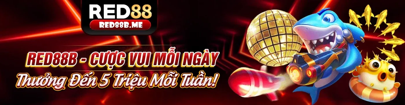 Các chương trình khuyến mãi thể thao