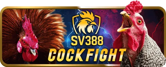 Hình ảnh người chơi cá cược có trách nhiệm tại hi88n win